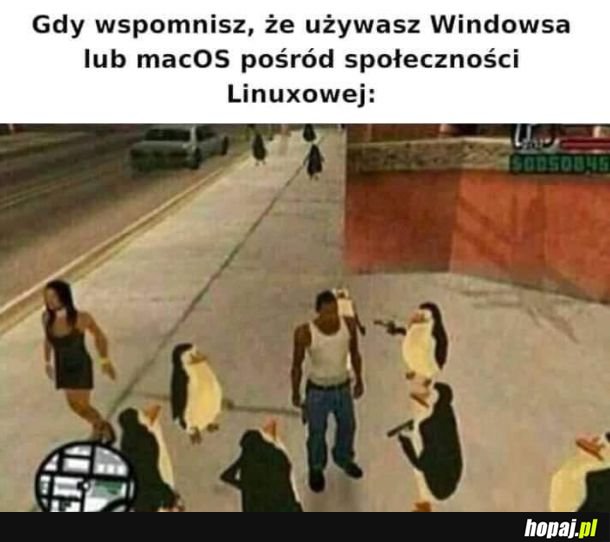  Tak to wygląda