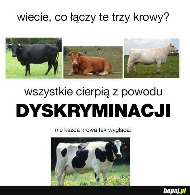 Otwórzcie oczy