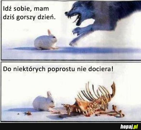 Gorszy dzień