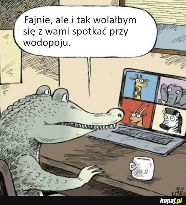 Niby fajnie, ale jednak na żywo lepiej