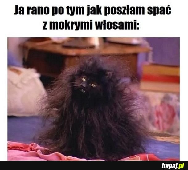 Za każdym razem 