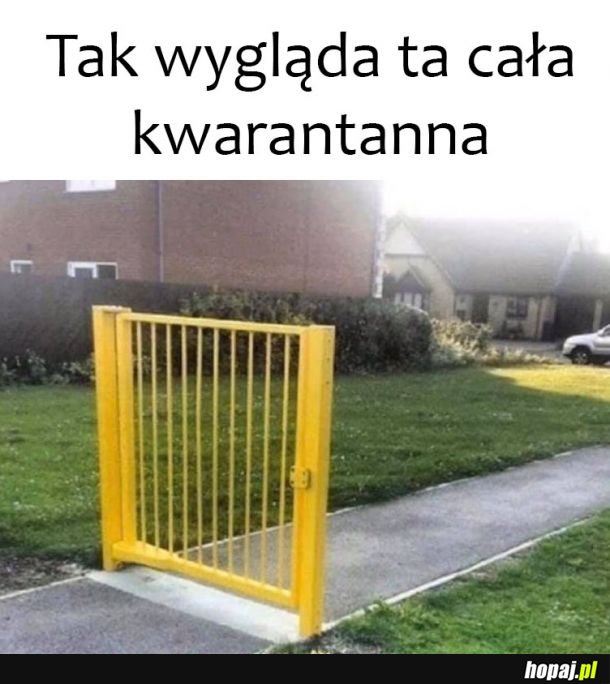 Tak to widzę