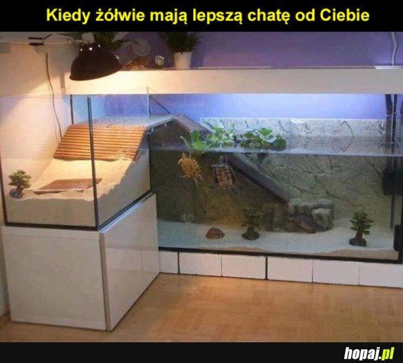 Świetne mieszkanko