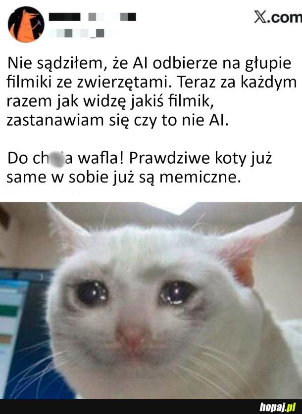 Trochę mnie to denerwuje