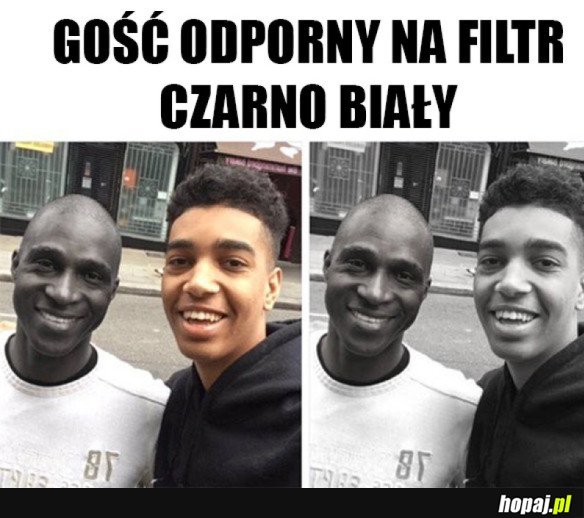 ZIOMEK ODPORNY NA FILTRY