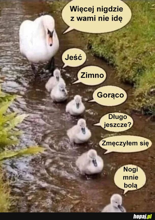 To był ostatni raz