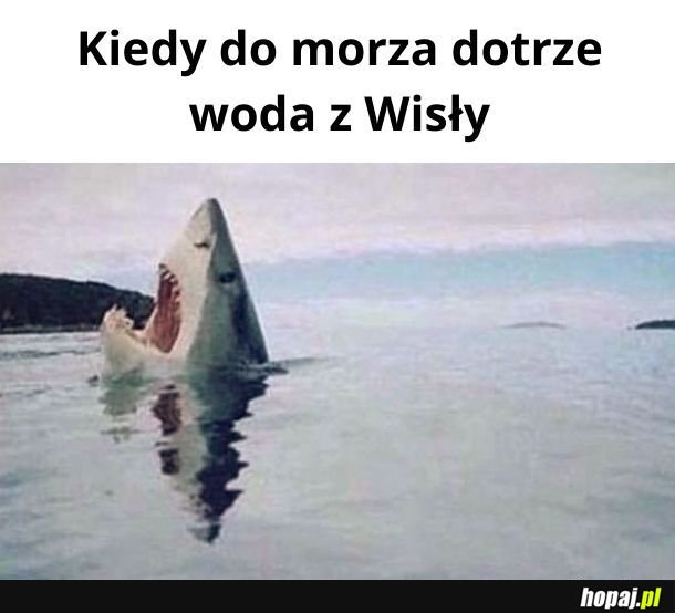 Wisła