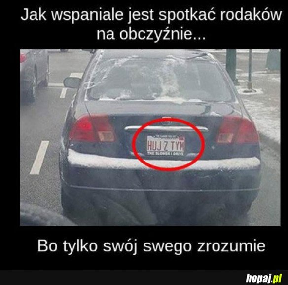 Swój swego zrozumie