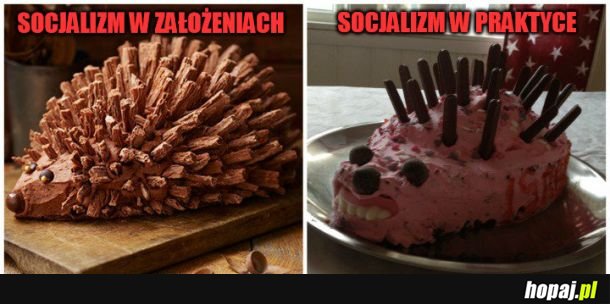  Najlepsze intencje