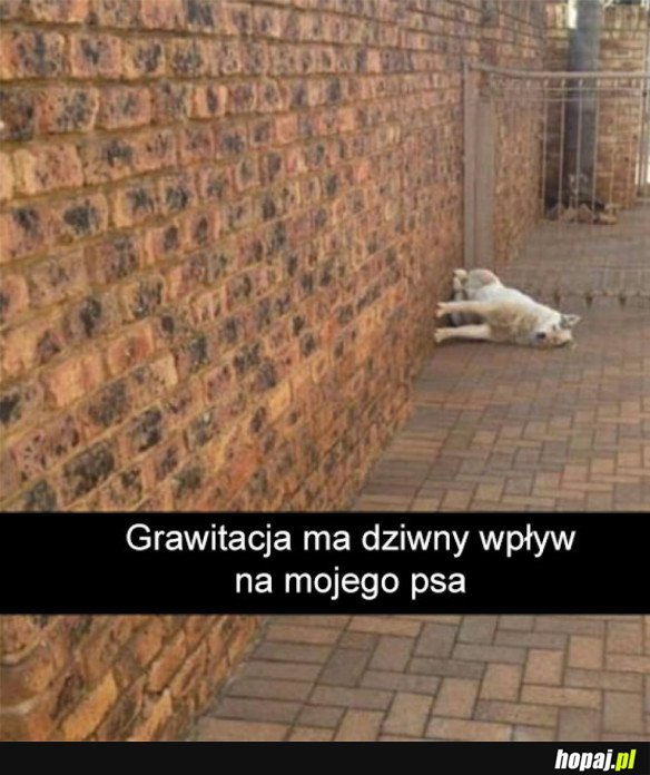 PIESEŁ KTÓRY ŁAMAŁ PRAWA FIZYKI