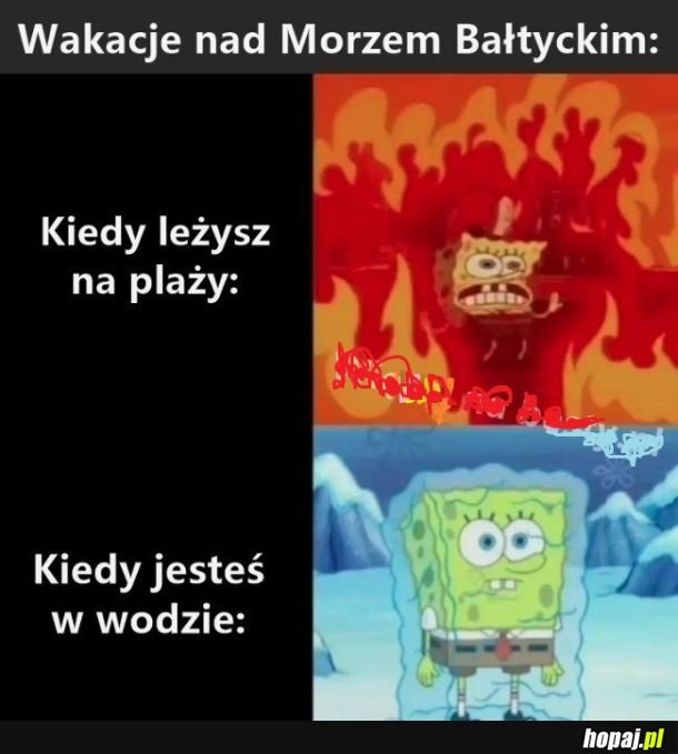 Wakacje