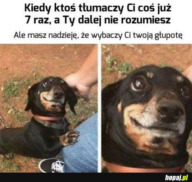 Kochasz mnie 