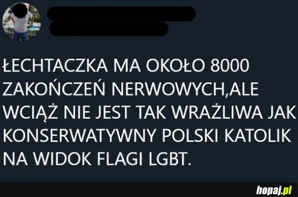 Heheszki