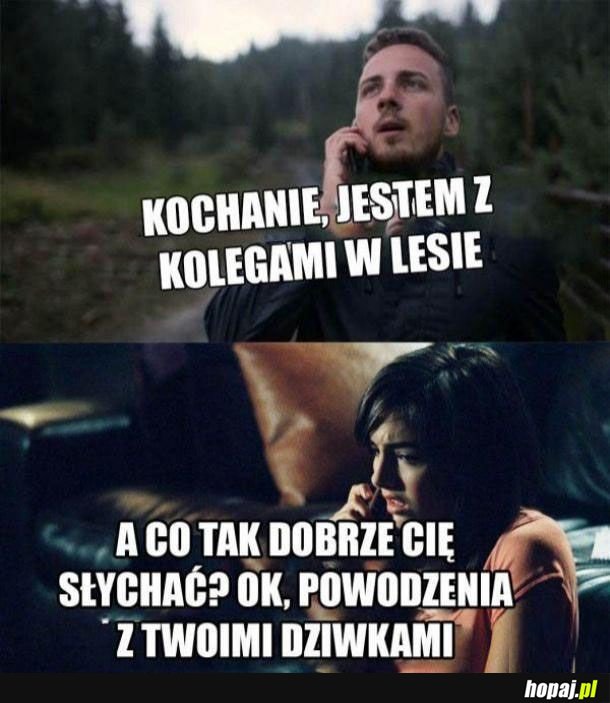 Z kolegami w lesie