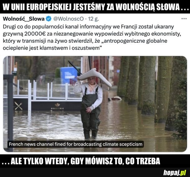 Wolność słowa