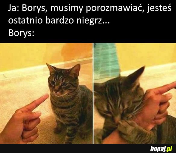 Borysie