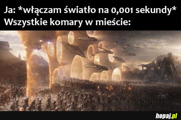 Komary 
