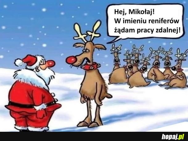 Sam sobie ciągnij te sanie