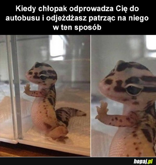 A W TLE SMUTNA MUZYKA