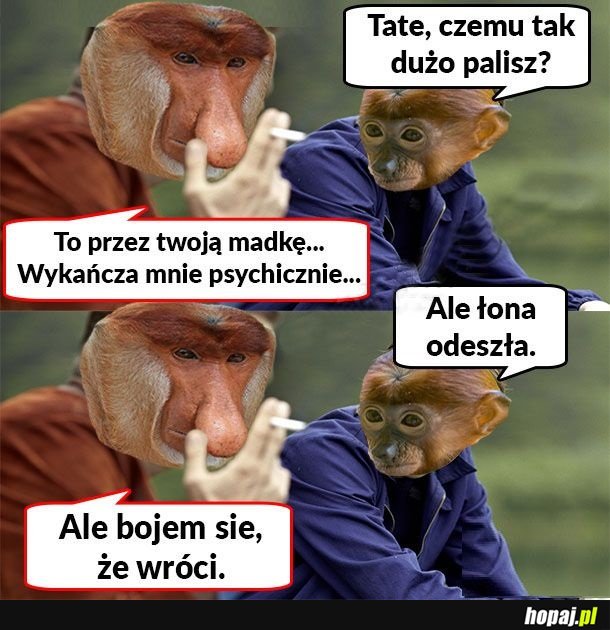 Zestresowany Janusz