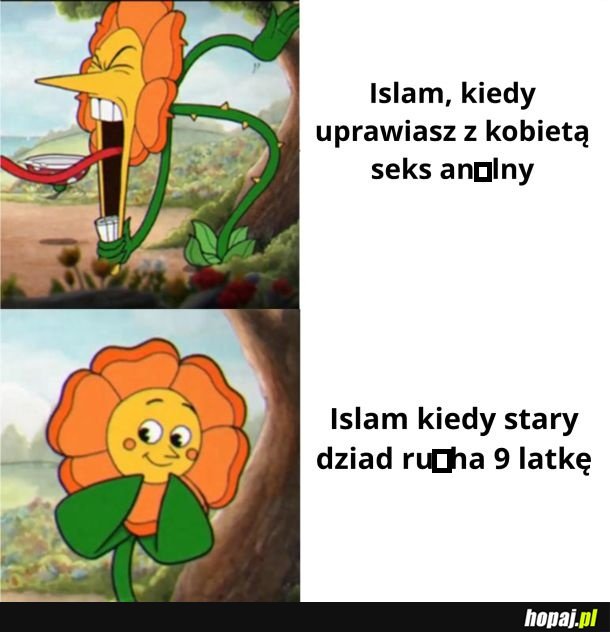 No cóż