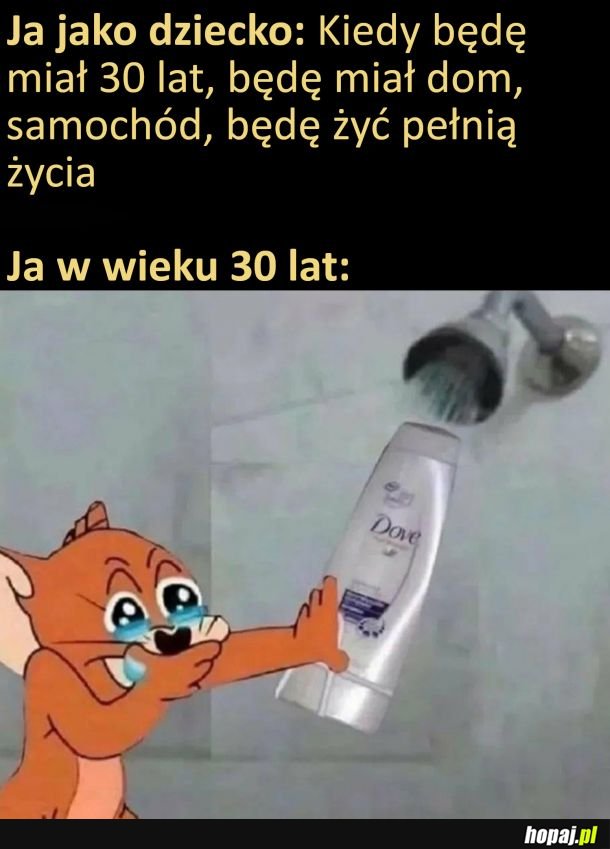 Co poszło nie tak