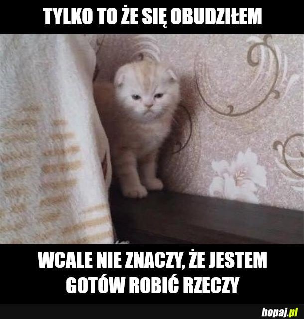 Jeszcze nie
