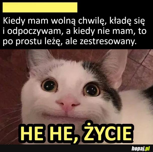 Ah to życie