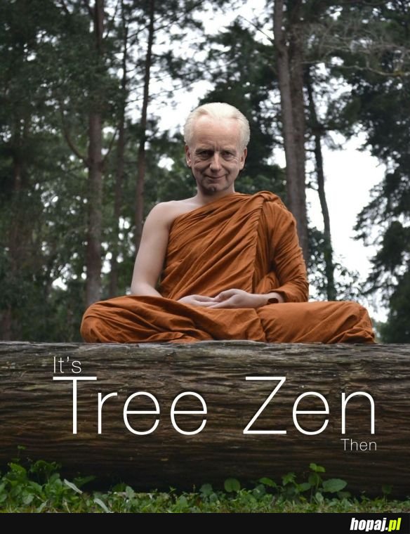 Tree Zen