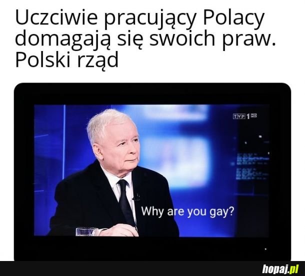 Prezesik