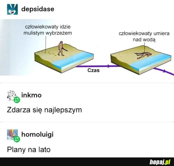 W sumie zazdro