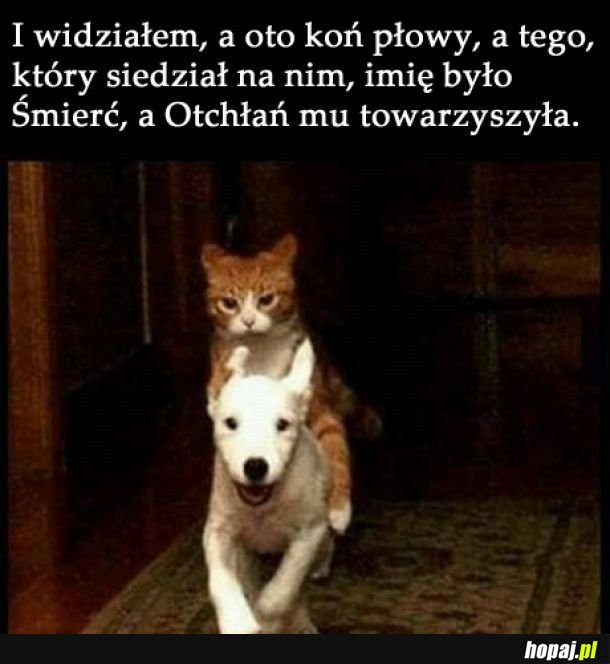 Śmierć na koniu