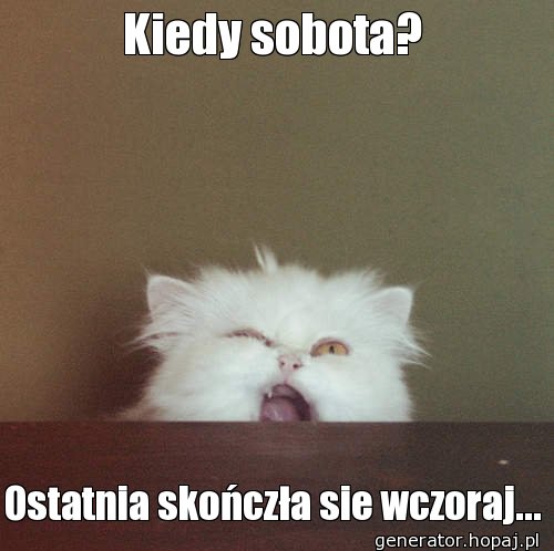 Kiedy sobota?