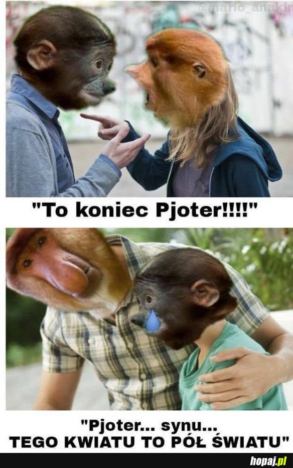 Spokonie synu!