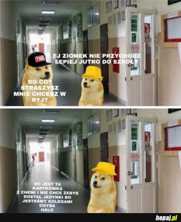 Ach, ta szkoła...