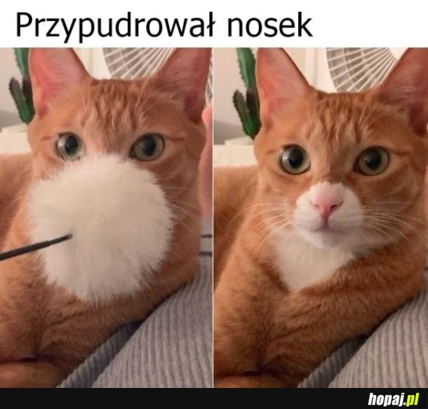 Makijaż