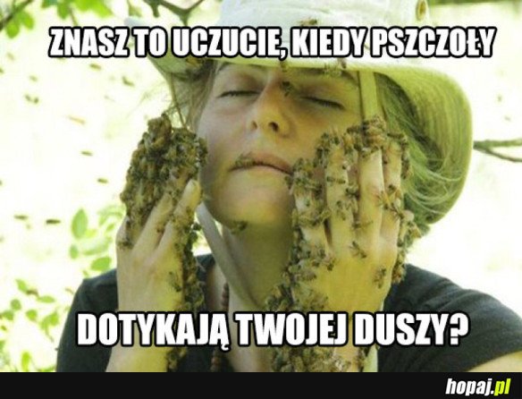 POCZUJ TE PSZCZOŁY