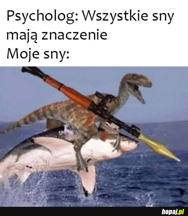 Moje sny