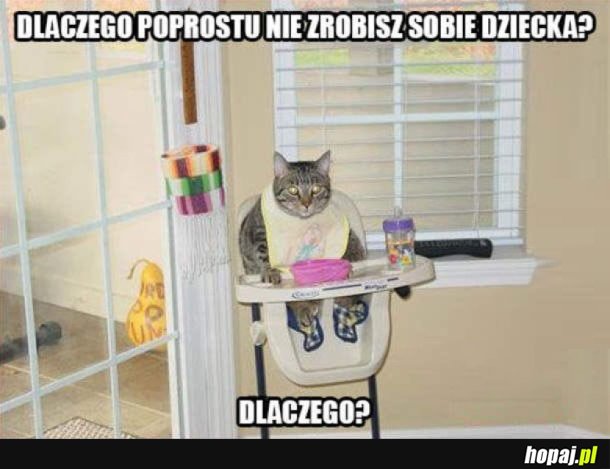 NO DLACZEGO?