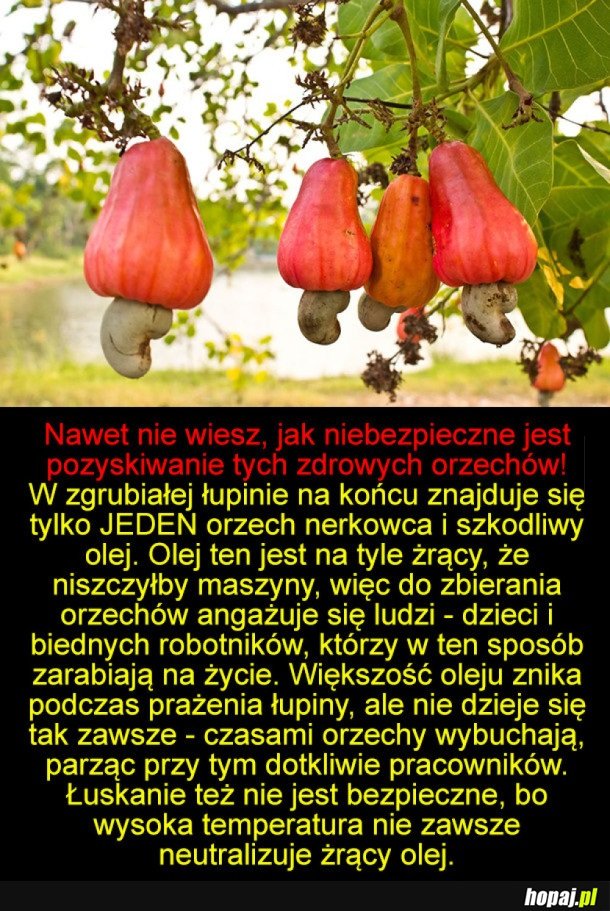 NIE MIAŁEM O TYM POJĘCIA!