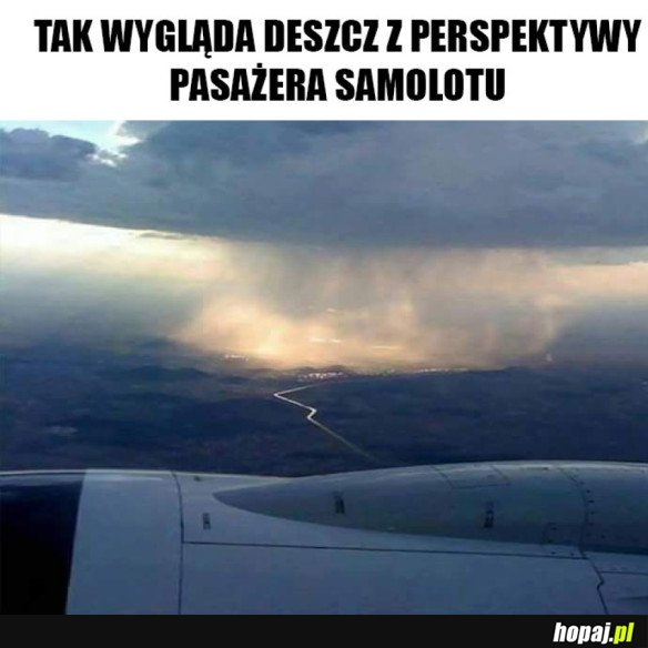 FAJNIE TO WYGLĄDA