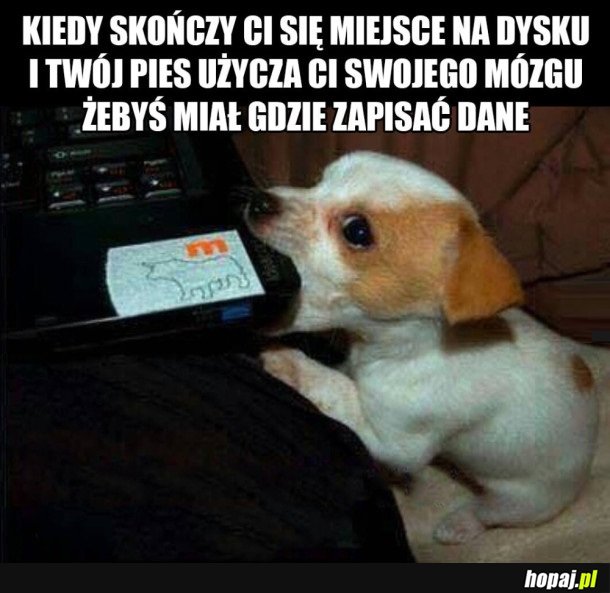 DZIĘKUJĘ PIESEŁ