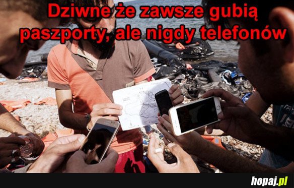 DZIWNE ŻE NIGDY NIE GUBIĄ