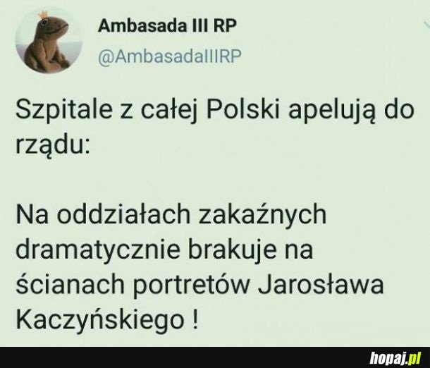 Apelacja do rządu