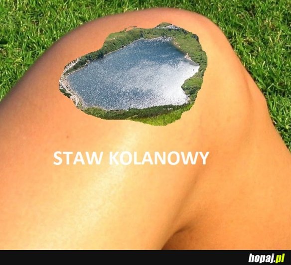 Staw kolanowy