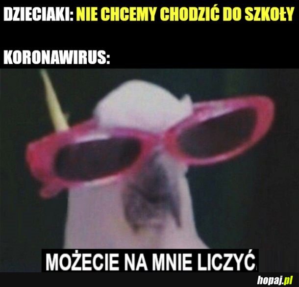 Specjalista od zadań niemożliwych