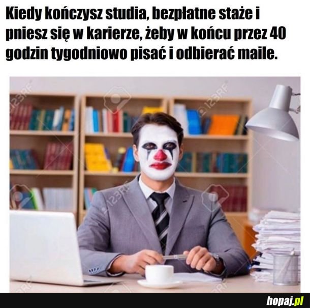 Życie w skrócie