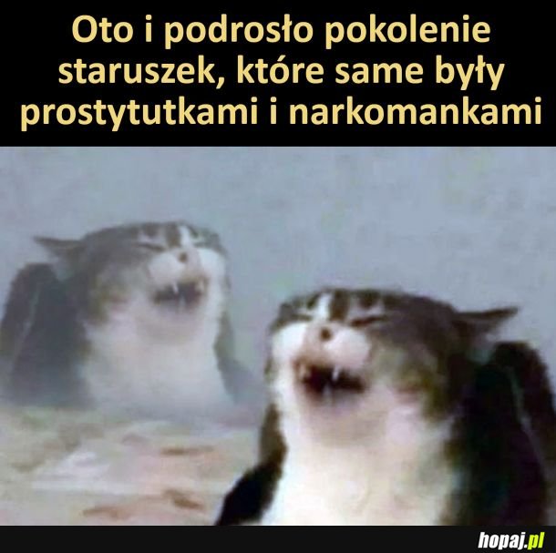 Pokolenie staruszek