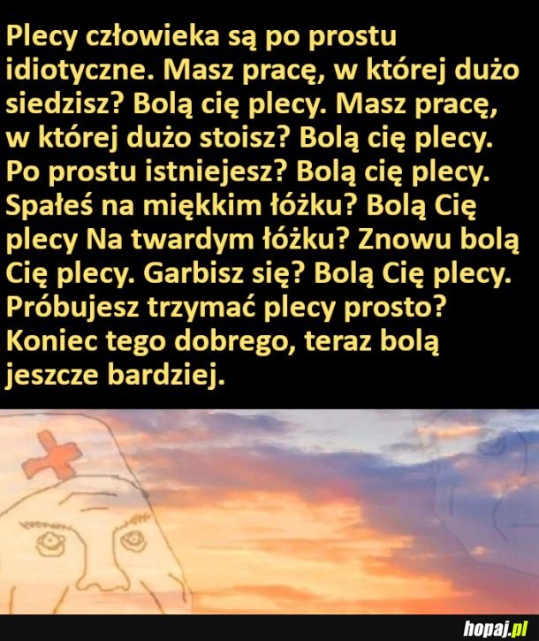 O plecach słów kilka
