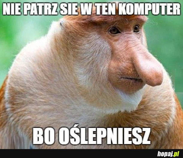 JANUSZ